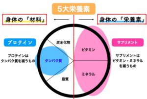 細マッチョサプリ・プロテイン